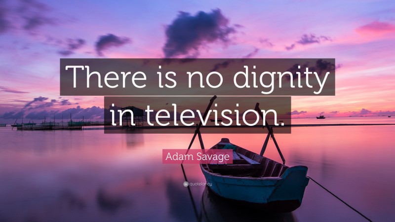 Adam Savage Quote: “There is no dignity in television.”
