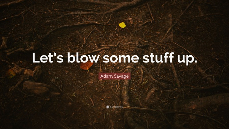 Adam Savage Quote: “Let’s blow some stuff up.”