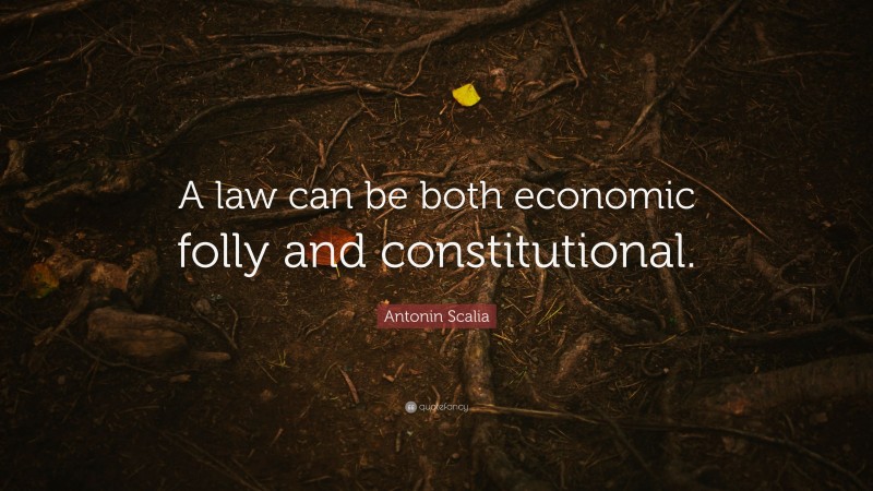 Antonin Scalia Quote: “A law can be both economic folly and constitutional.”