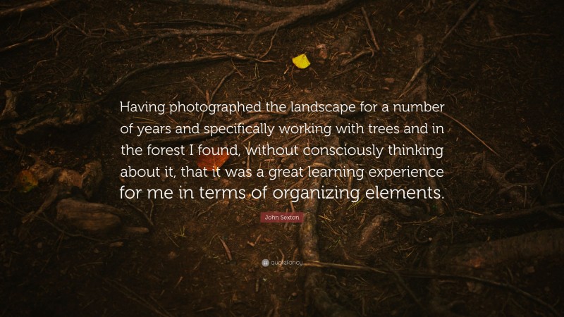 John Sexton Quote: “Having photographed the landscape for a number of years and specifically working with trees and in the forest I found, without consciously thinking about it, that it was a great learning experience for me in terms of organizing elements.”