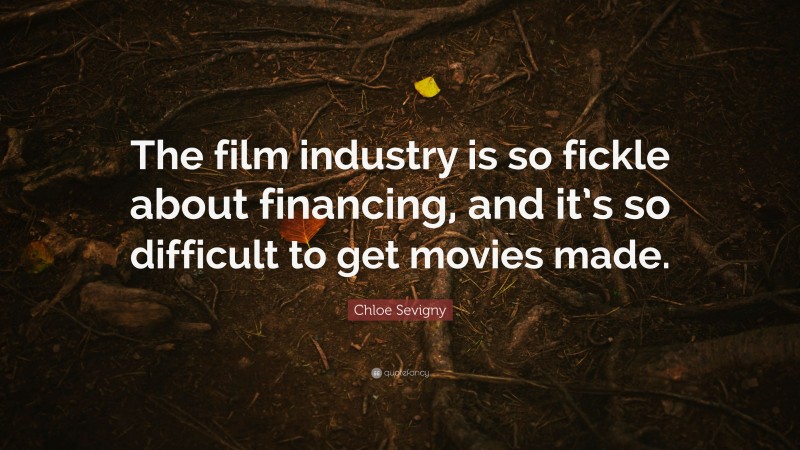 Chloe Sevigny Quote: “The film industry is so fickle about financing, and it’s so difficult to get movies made.”