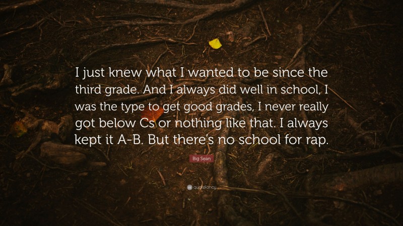 Big Sean Quote: “I just knew what I wanted to be since the third grade. And I always did well in school, I was the type to get good grades, I never really got below Cs or nothing like that. I always kept it A-B. But there’s no school for rap.”