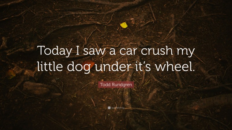 Todd Rundgren Quote: “Today I saw a car crush my little dog under it’s wheel.”