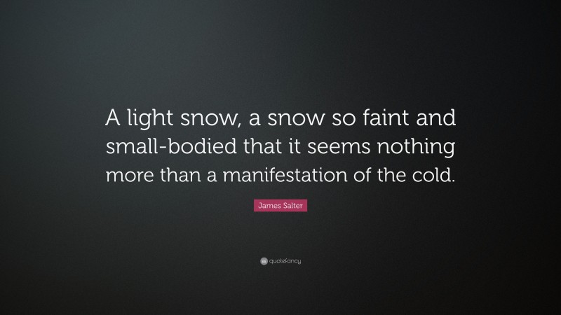 James Salter Quote: “A light snow, a snow so faint and small-bodied that it seems nothing more than a manifestation of the cold.”
