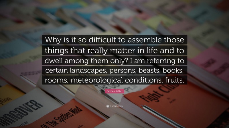 James Salter Quote: “Why is it so difficult to assemble those things that really matter in life and to dwell among them only? I am referring to certain landscapes, persons, beasts, books, rooms, meteorological conditions, fruits.”