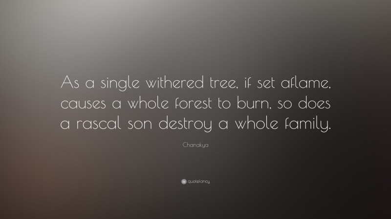Chanakya Quote: “As a single withered tree, if set aflame, causes a whole forest to burn, so does a rascal son destroy a whole family.”