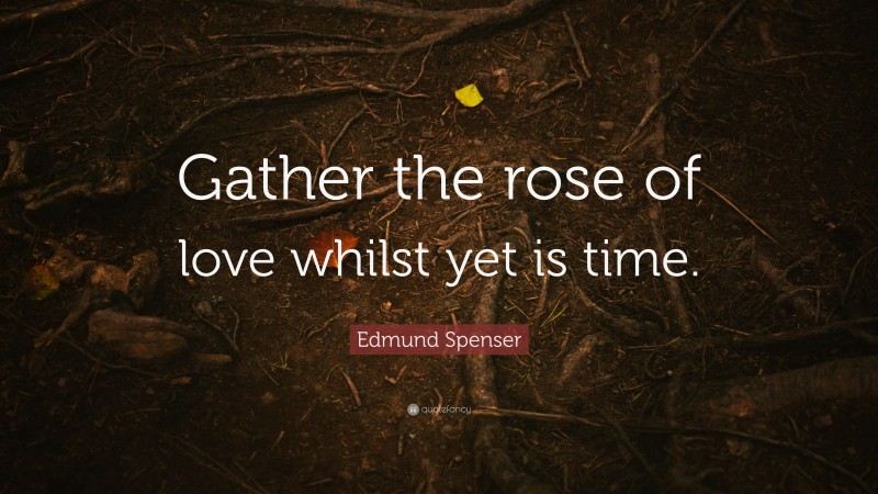 Edmund Spenser Quote: “Gather the rose of love whilst yet is time.”