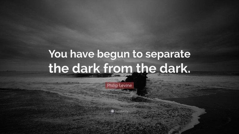 Philip Levine Quote: “You have begun to separate the dark from the dark.”
