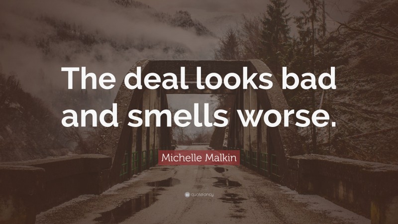 Michelle Malkin Quote: “The deal looks bad and smells worse.”