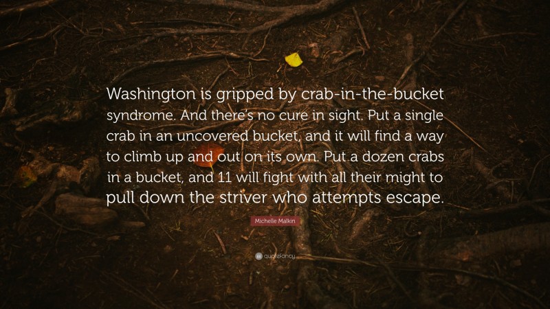 Michelle Malkin Quote: “Washington is gripped by crab-in-the-bucket syndrome. And there’s no cure in sight. Put a single crab in an uncovered bucket, and it will find a way to climb up and out on its own. Put a dozen crabs in a bucket, and 11 will fight with all their might to pull down the striver who attempts escape.”