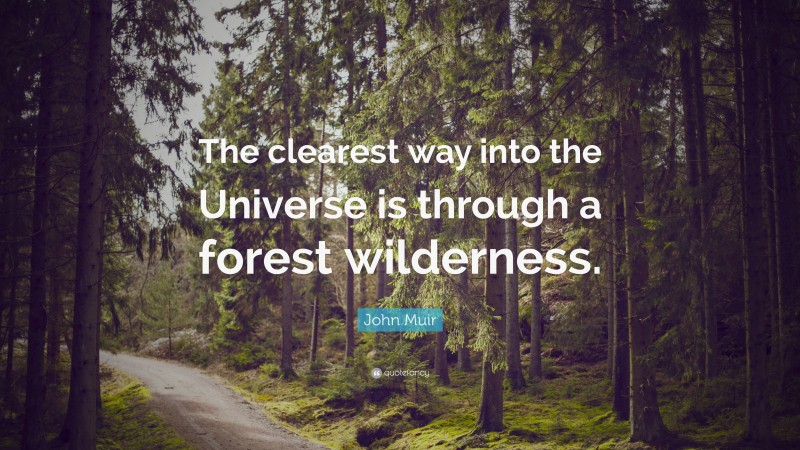 John Muir Quote: “The clearest way into the Universe is through a ...