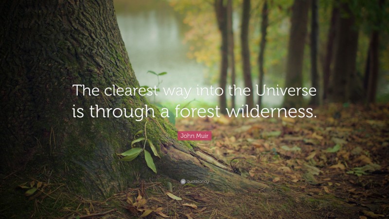 John Muir Quote: “The clearest way into the Universe is through a forest wilderness.”
