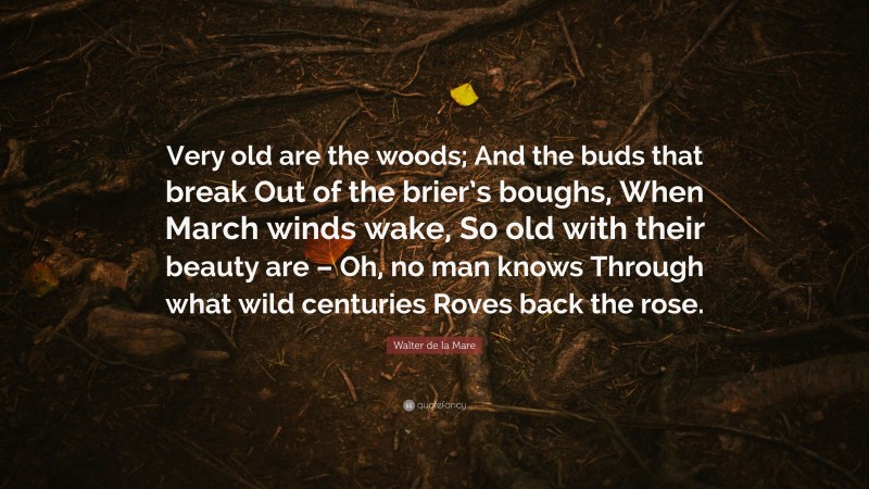 Walter de la Mare Quote: “Very old are the woods; And the buds that break Out of the brier’s boughs, When March winds wake, So old with their beauty are – Oh, no man knows Through what wild centuries Roves back the rose.”