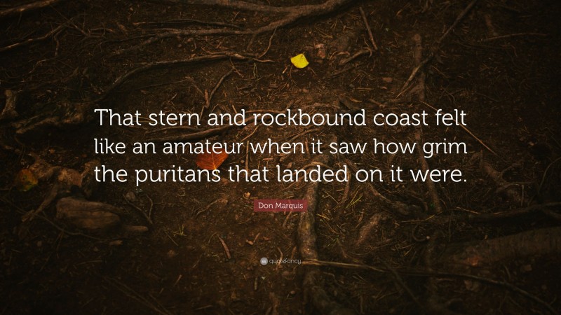 Don Marquis Quote: “That stern and rockbound coast felt like an amateur when it saw how grim the puritans that landed on it were.”