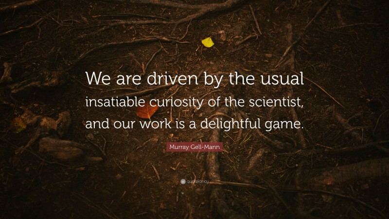 Murray Gell-Mann Quote: “We are driven by the usual insatiable curiosity of the scientist, and our work is a delightful game.”