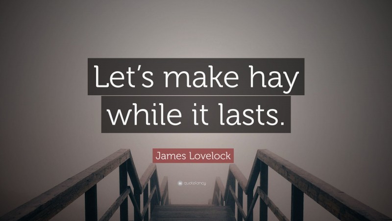 James Lovelock Quote: “Let’s make hay while it lasts.”