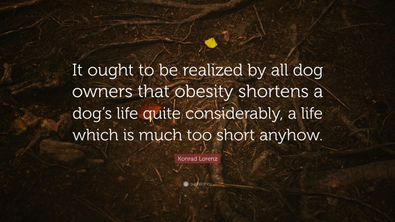 Konrad Lorenz Quote: “It ought to be realized by all dog owners that obesity shortens a dog’s life quite considerably, a life which is much too short anyhow.”