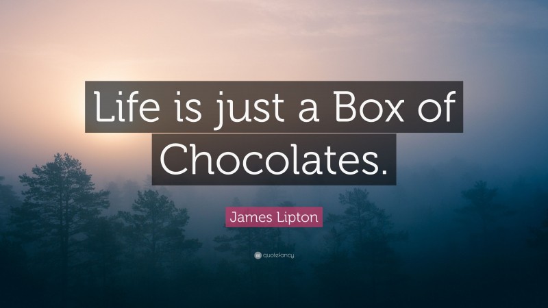 James Lipton Quote: “Life is just a Box of Chocolates.”