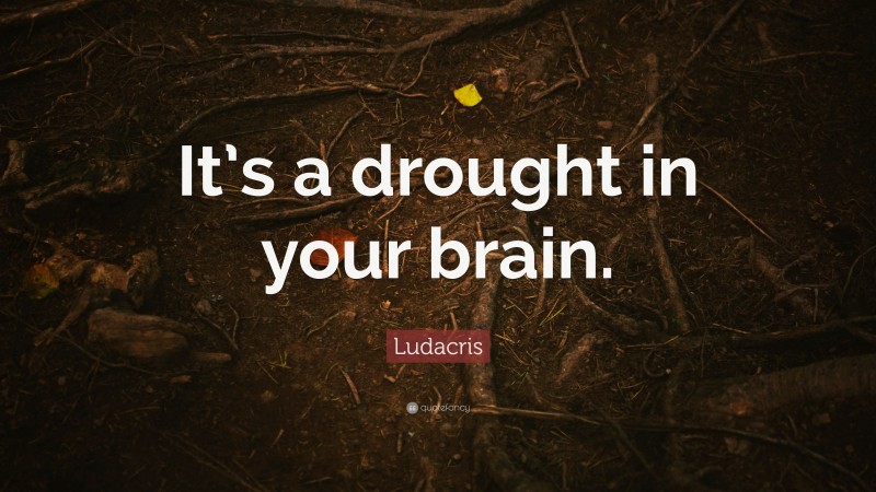Ludacris Quote: “It’s a drought in your brain.”