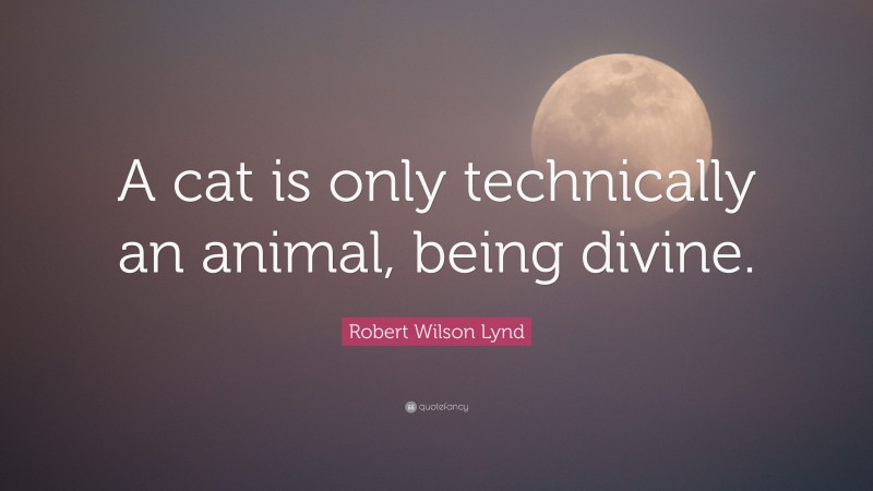 Robert Wilson Lynd Quote: “A cat is only technically an animal, being divine.”