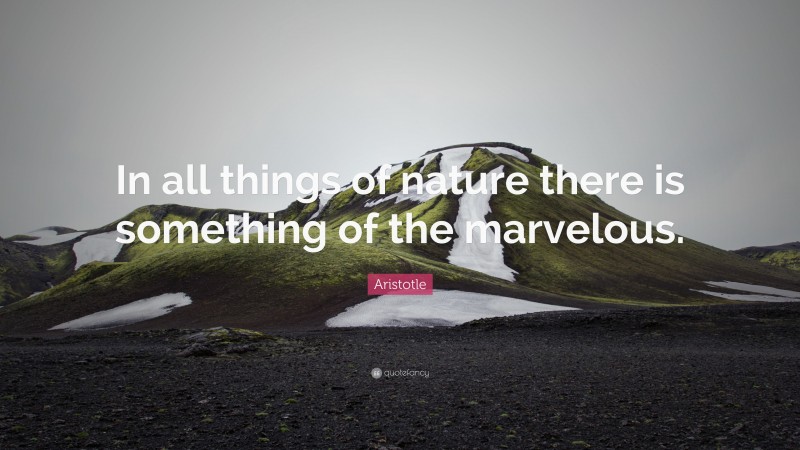 Aristotle Quote: “In all things of nature there is something of the marvelous.”