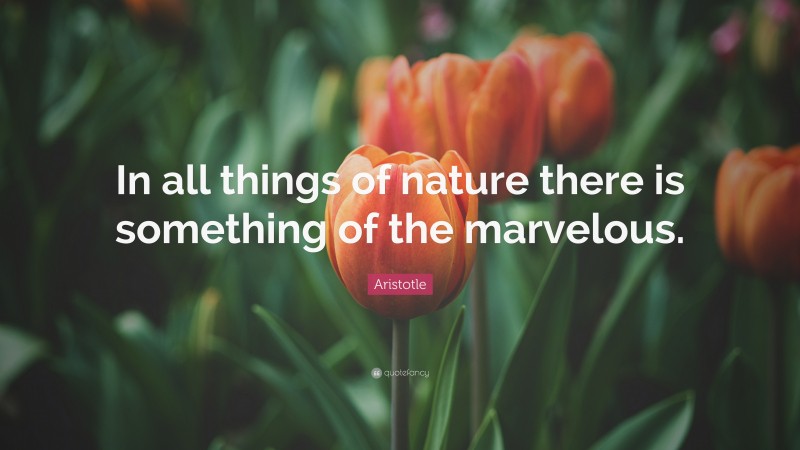 Aristotle Quote: “In all things of nature there is something of the marvelous.”