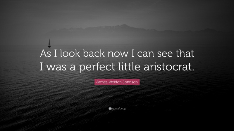James Weldon Johnson Quote: “As I look back now I can see that I was a perfect little aristocrat.”