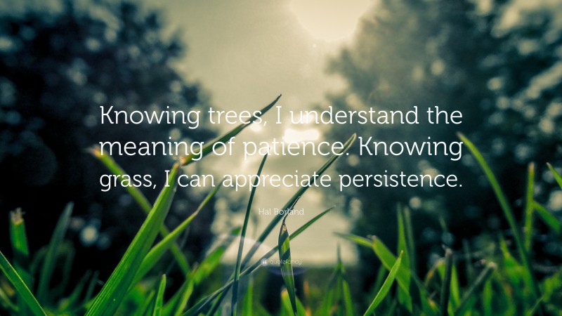 Hal Borland Quote: “Knowing trees, I understand the meaning of patience. Knowing grass, I can appreciate persistence.”