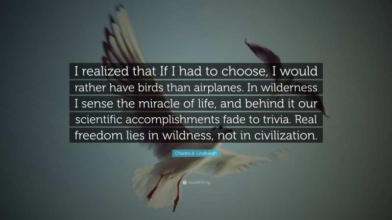 Charles A. Lindbergh Quote: “I realized that If I had to choose, I would rather have birds than airplanes.  In wilderness I sense the miracle of life, and behind it our scientific accomplishments fade to trivia. Real freedom lies in wildness, not in civilization.”