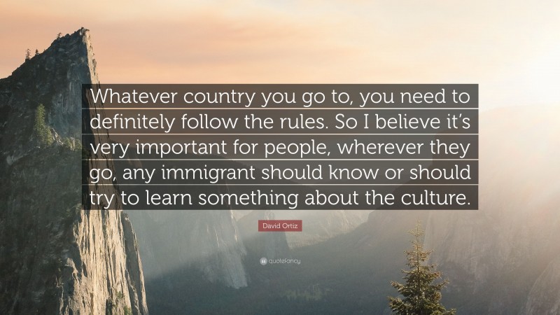 David Ortiz Quote: “Whatever country you go to, you need to definitely follow the rules. So I believe it’s very important for people, wherever they go, any immigrant should know or should try to learn something about the culture.”