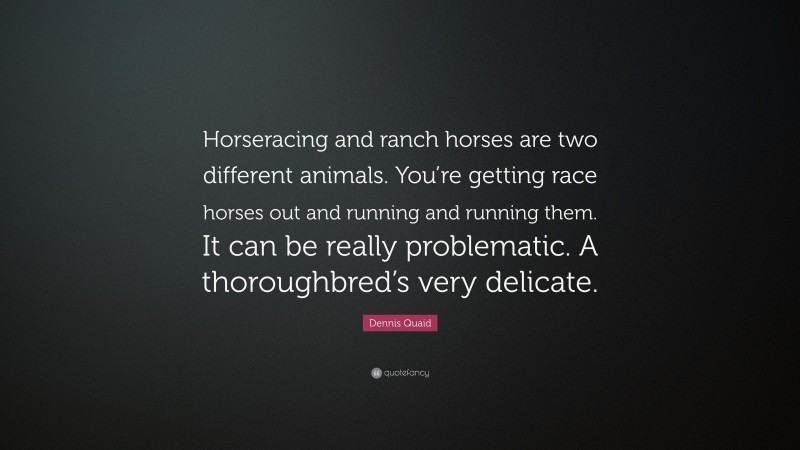 Dennis Quaid Quote: “Horseracing and ranch horses are two different animals. You’re getting race horses out and running and running them. It can be really problematic. A thoroughbred’s very delicate.”