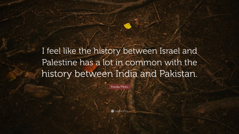 Freida Pinto Quote: “I feel like the history between Israel and Palestine has a lot in common with the history between India and Pakistan.”