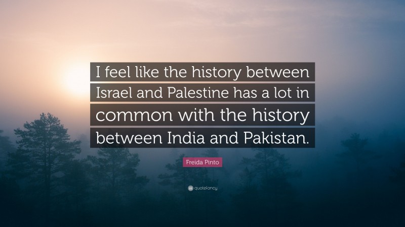 Freida Pinto Quote: “I feel like the history between Israel and Palestine has a lot in common with the history between India and Pakistan.”