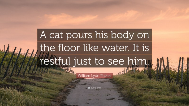 William Lyon Phelps Quote: “A cat pours his body on the floor like water. It is restful just to see him.”