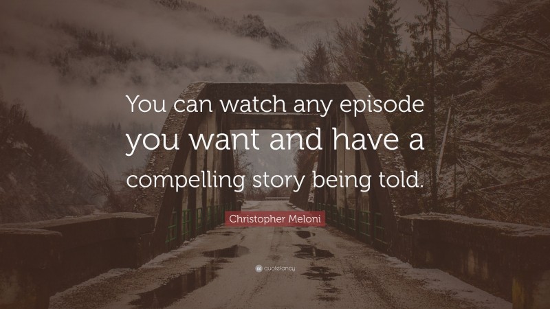Christopher Meloni Quote: “You can watch any episode you want and have a compelling story being told.”