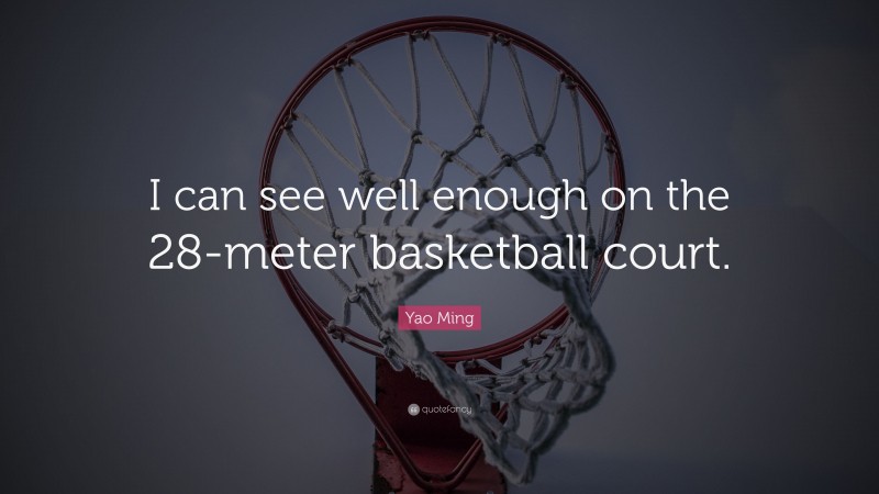Yao Ming Quote: “I can see well enough on the 28-meter basketball court.”