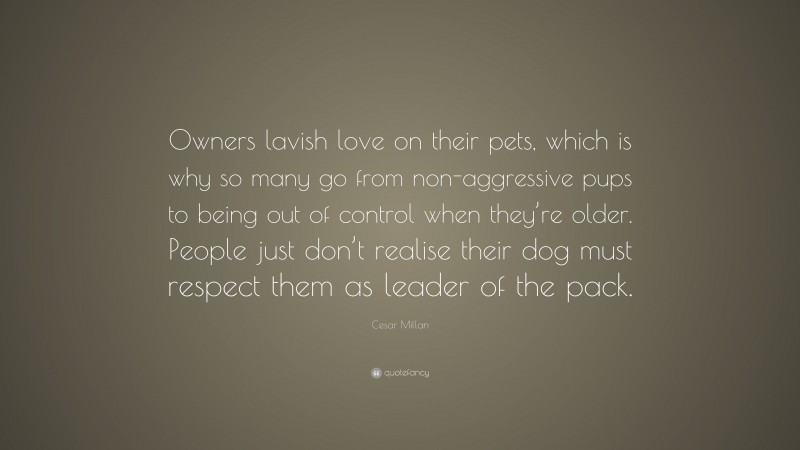 Cesar Millan Quote: “Owners lavish love on their pets, which is why so many go from non-aggressive pups to being out of control when they’re older. People just don’t realise their dog must respect them as leader of the pack.”