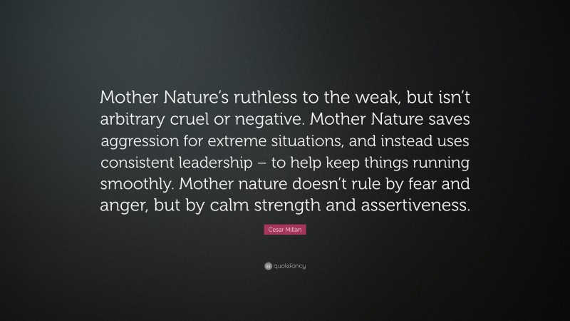 Cesar Millan Quote: “Mother Nature’s ruthless to the weak, but isn’t arbitrary cruel or negative. Mother Nature saves aggression for extreme situations, and instead uses consistent leadership – to help keep things running smoothly. Mother nature doesn’t rule by fear and anger, but by calm strength and assertiveness.”