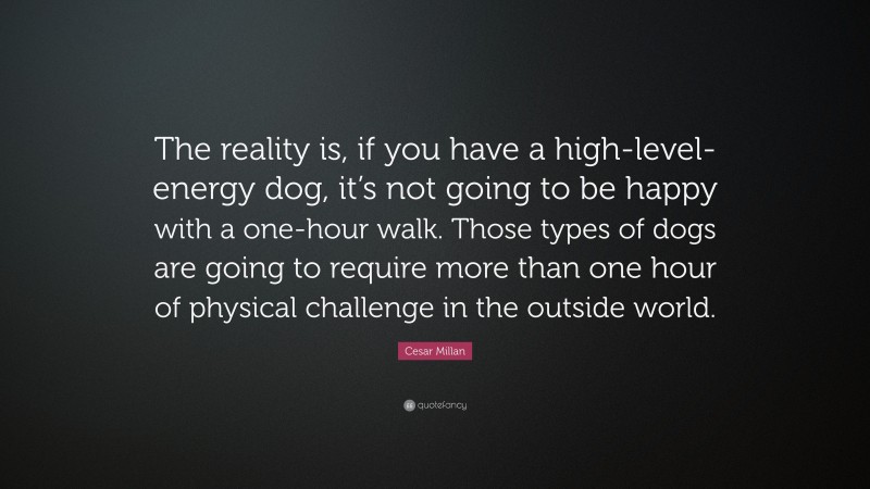 Cesar Millan Quote: “The reality is, if you have a high-level-energy dog, it’s not going to be happy with a one-hour walk. Those types of dogs are going to require more than one hour of physical challenge in the outside world.”