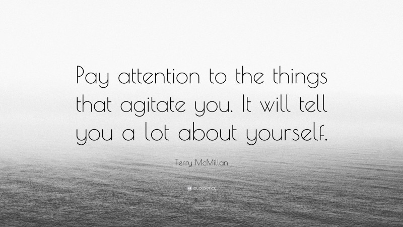 Terry McMillan Quote: “Pay attention to the things that agitate you. It will tell you a lot about yourself.”