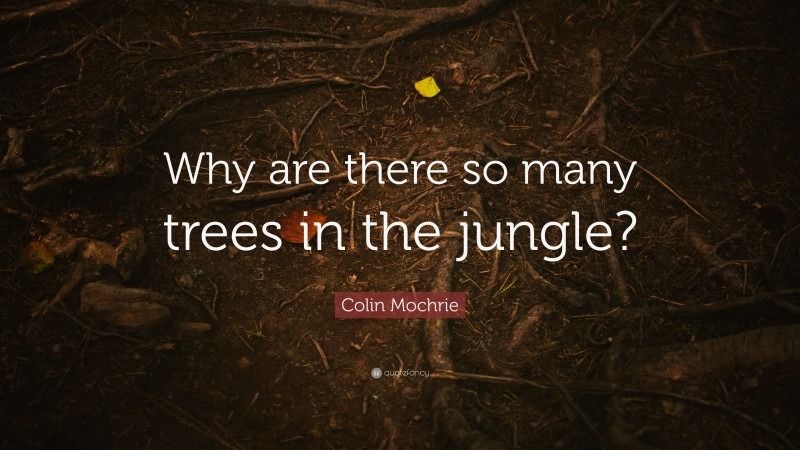 Colin Mochrie Quote: “Why are there so many trees in the jungle?”