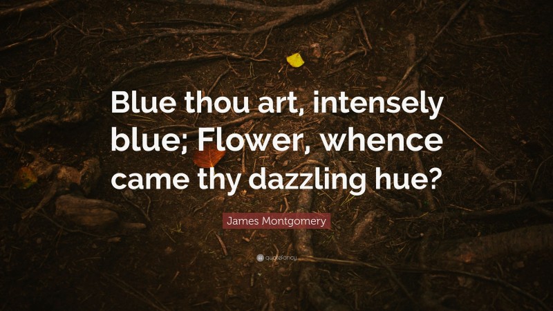 James Montgomery Quote: “Blue thou art, intensely blue; Flower, whence came thy dazzling hue?”