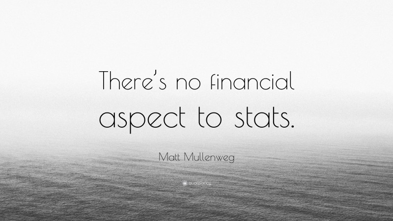 Matt Mullenweg Quote: “There’s no financial aspect to stats.”