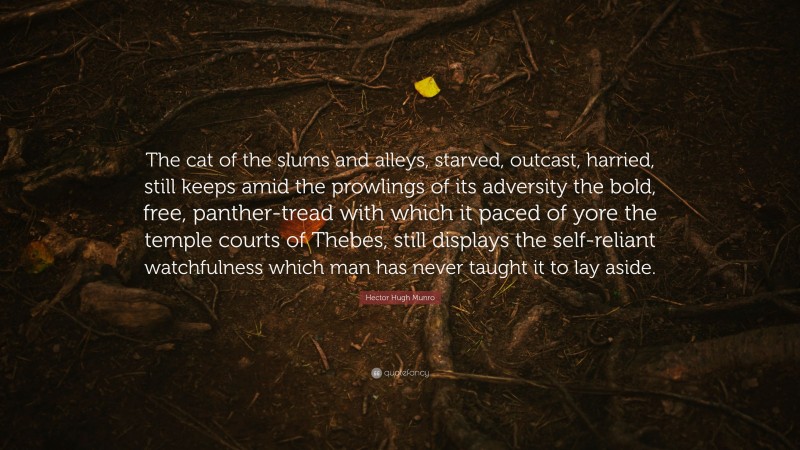 Hector Hugh Munro Quote: “The cat of the slums and alleys, starved, outcast, harried, still keeps amid the prowlings of its adversity the bold, free, panther-tread with which it paced of yore the temple courts of Thebes, still displays the self-reliant watchfulness which man has never taught it to lay aside.”