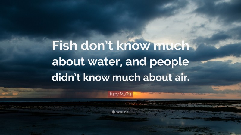 Kary Mullis Quote: “Fish don’t know much about water, and people didn’t know much about air.”