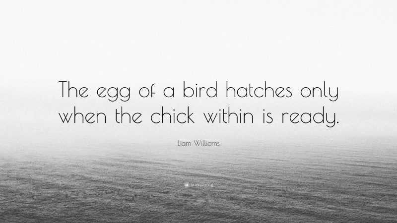 Liam Williams Quote: “The egg of a bird hatches only when the chick within is ready.”