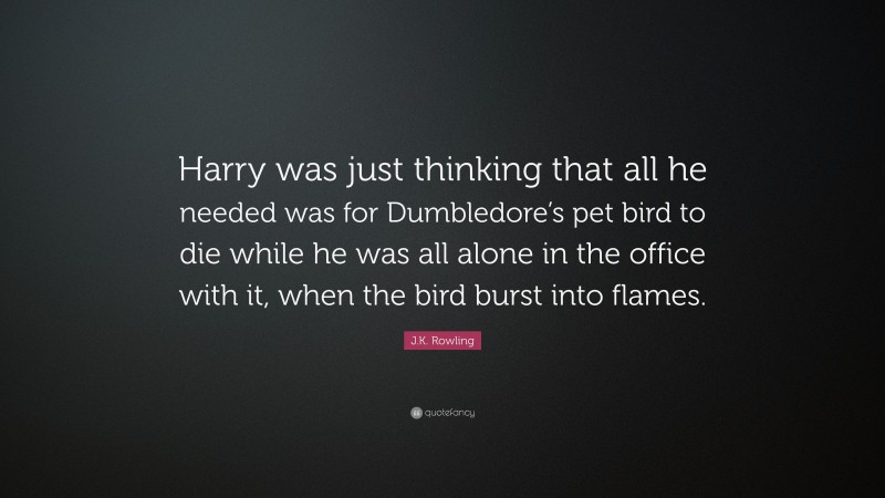 J.K. Rowling Quote: “Harry was just thinking that all he needed was for Dumbledore’s pet bird to die while he was all alone in the office with it, when the bird burst into flames.”