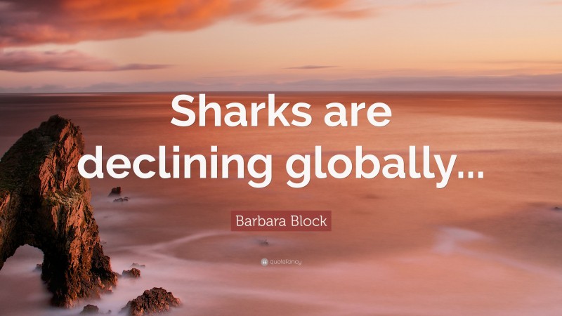 Barbara Block Quote: “Sharks are declining globally...”
