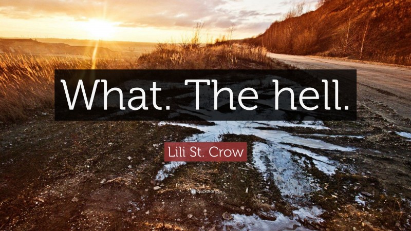 Lili St. Crow Quote: “What. The hell.”