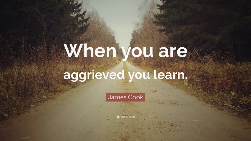 James Cook Quote: “When you are aggrieved you learn.”